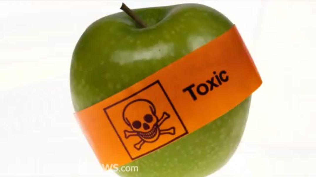 How GMO foods alter organ function and pose a very real health threat to humans