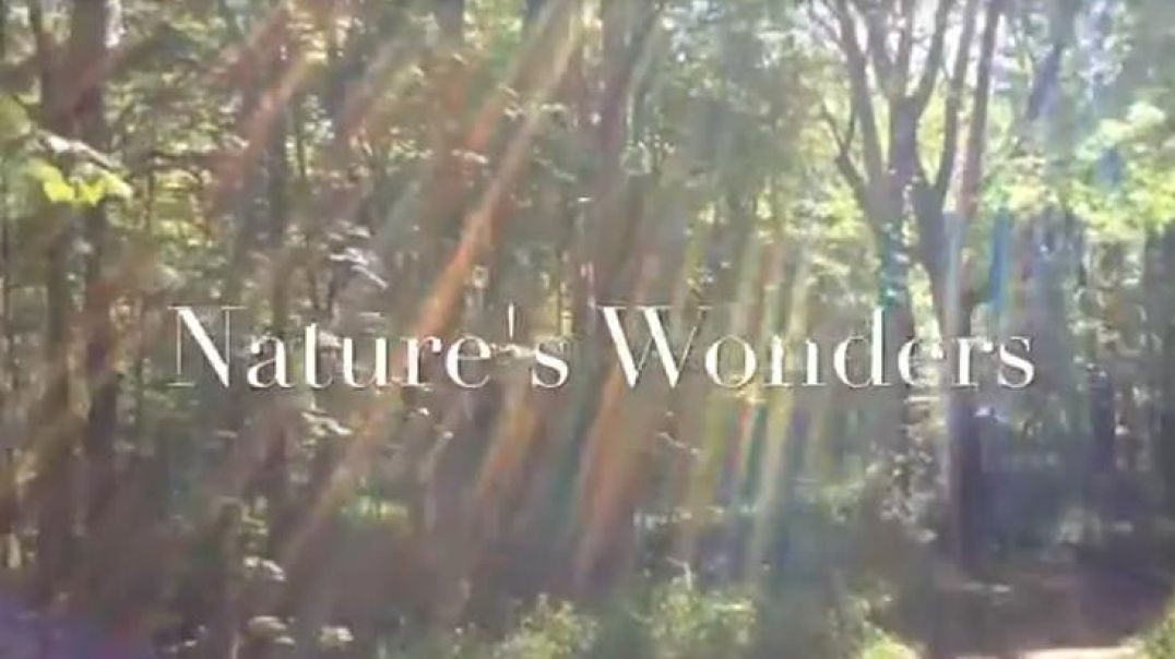 ⁣Nature's Wonders