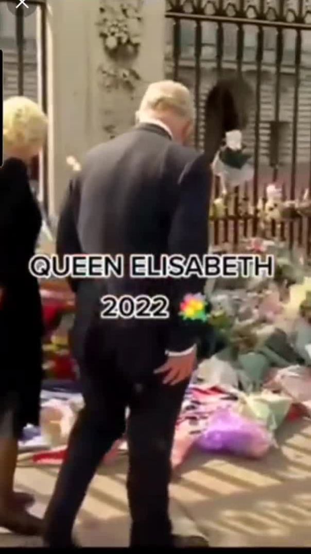 Queen Elizabeth vs Princess Diana