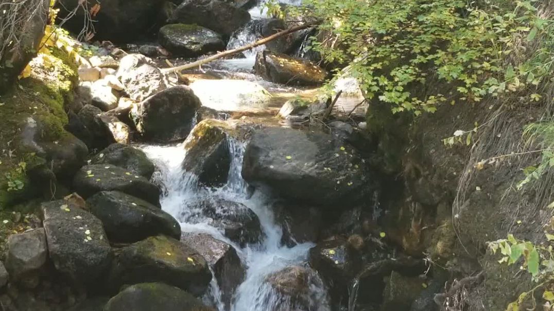 Mountain stream in the fall