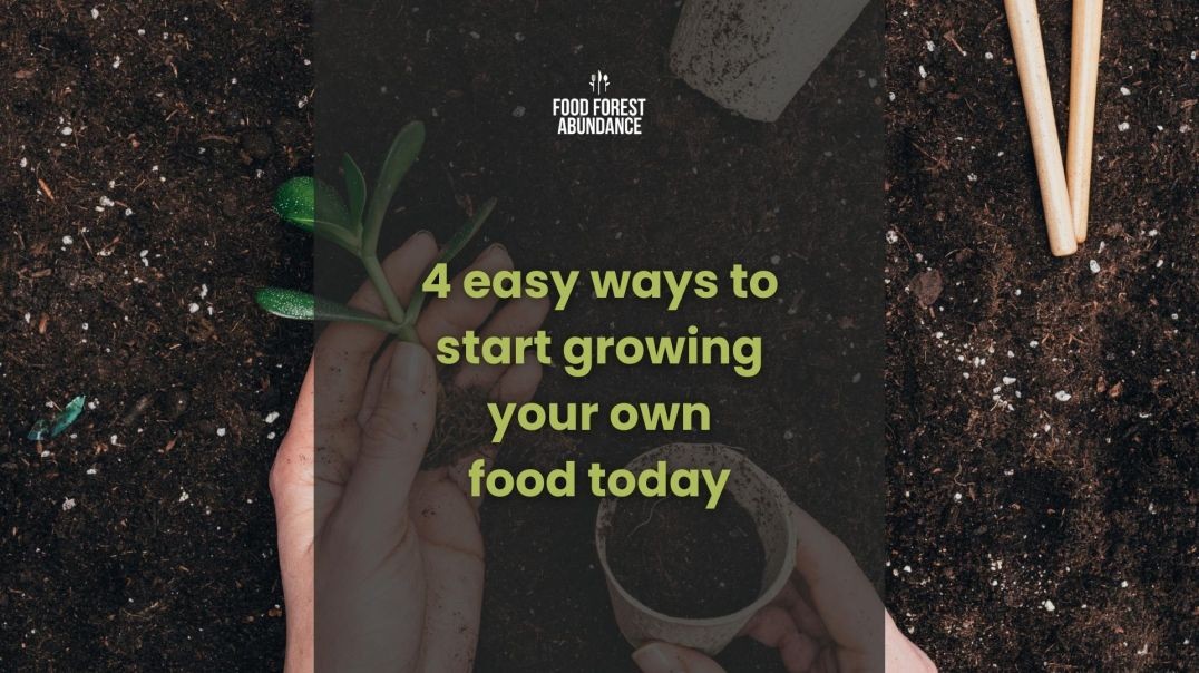 4 easy ways to start growing your own food today