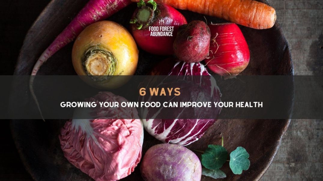 6 ways growing your own food can improve your health