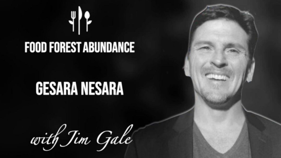 A message from Jim Gale: Gesara Nesara