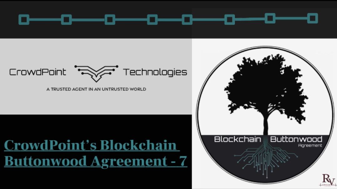 CrowdPoint’s Blockchain Buttonwood Agreement - 7 of 7 - Mini-Series