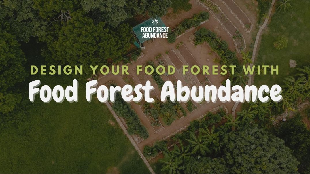 Design your food forest with Food Forest Abundance