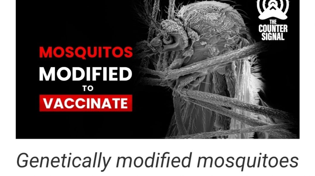 Mosquito Injections?