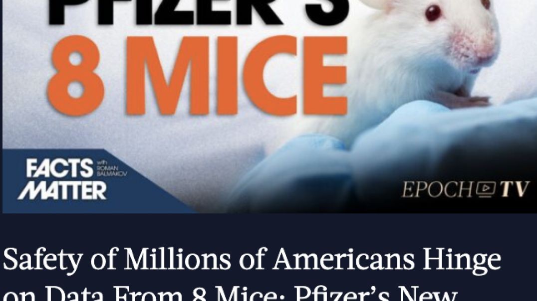 Pfizer's 8 Mice As The Death Toll Rises