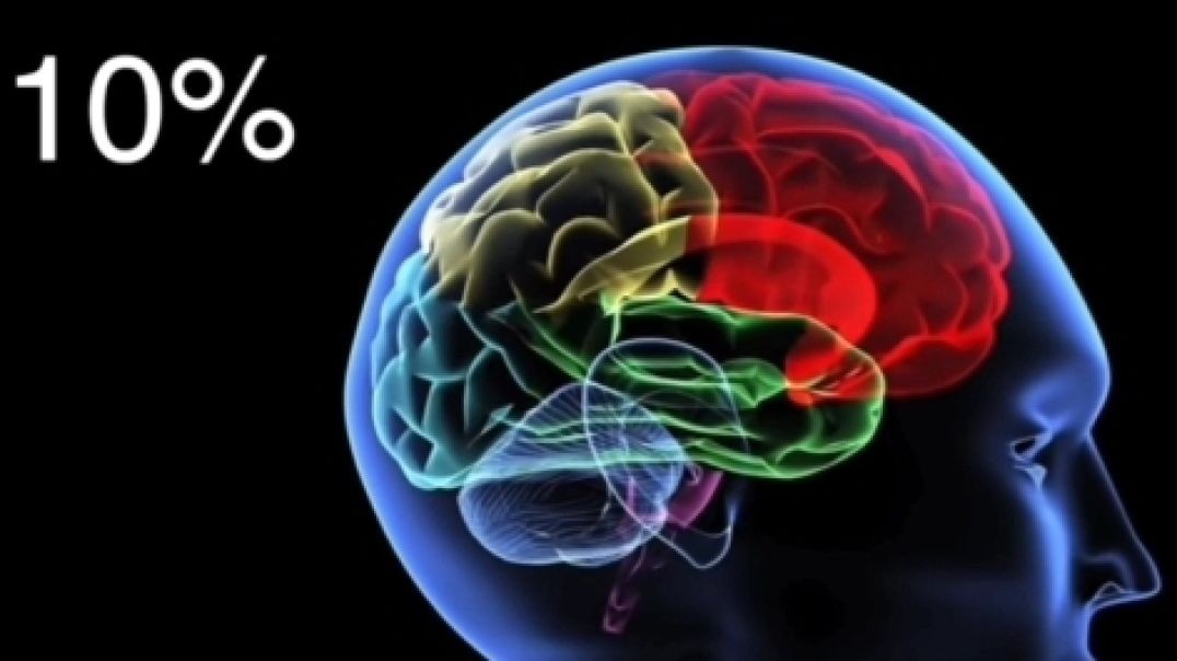 How Much of Your Brain do You Use?