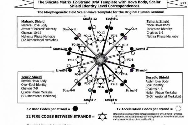 OUR DNA AND THE GENETIC TIME CODE