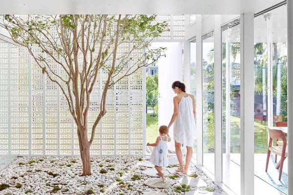 Biophilic Design: Elements of a Naturally Happy Home