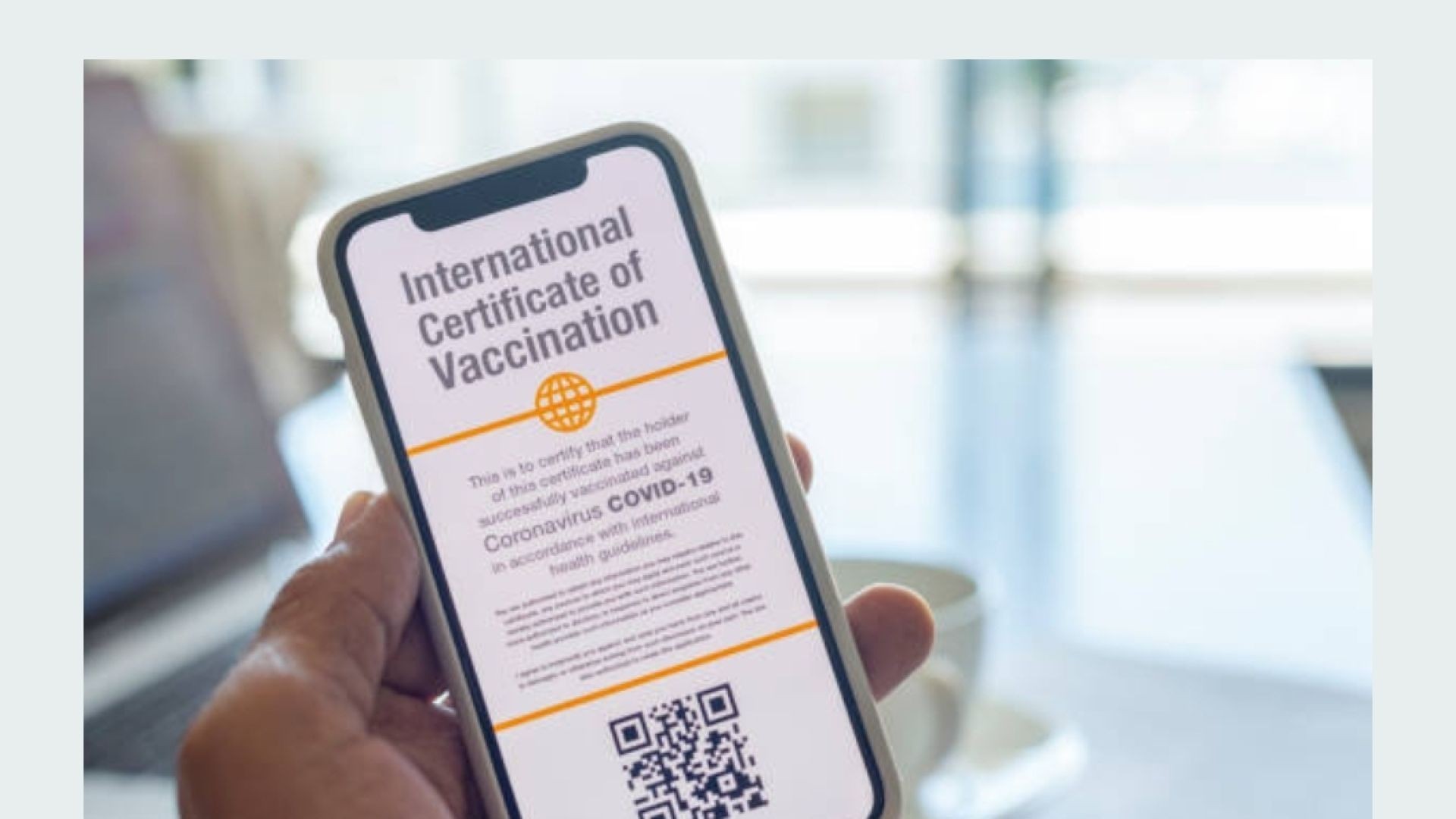 BREAKING: G20 Now Officially Agree On Digital Vaccine Passport For Travel!