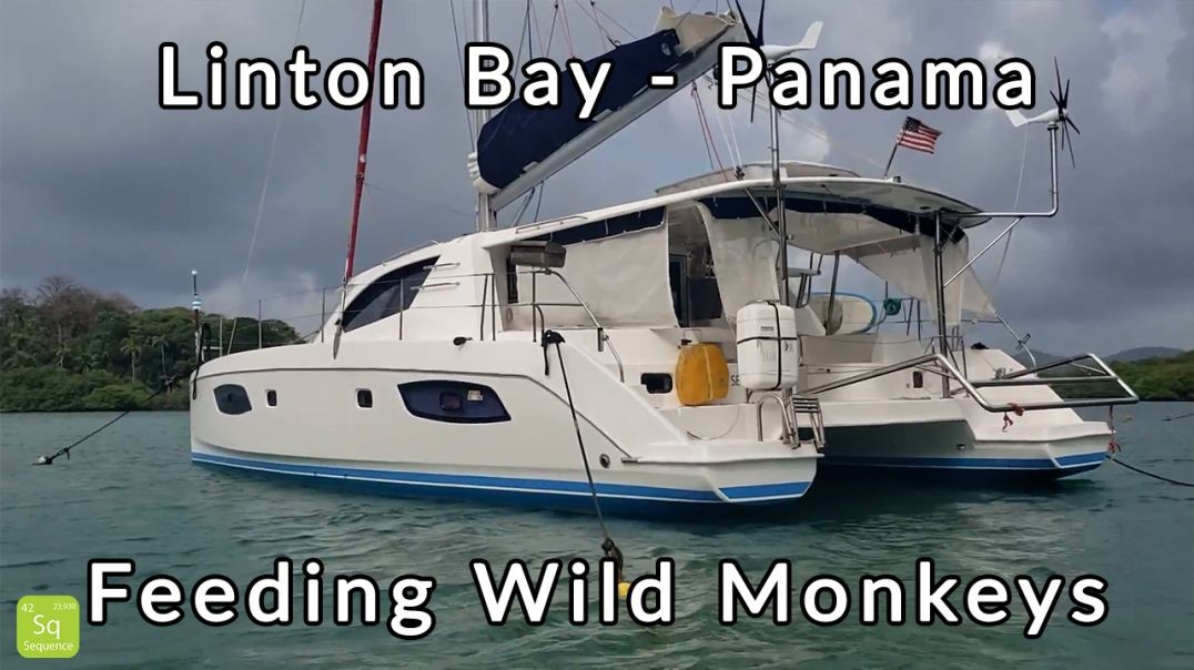 A WILD Island - Linton Bay Excursion, Howler Monkeys & Lazy Rivers (Seq 16) | Buying a Catamaran