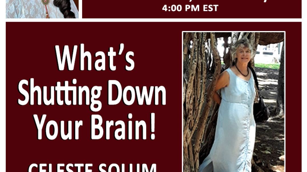 Celeste Solum - _Brain Fog and What_s Shutting Your Brains!_.mp4