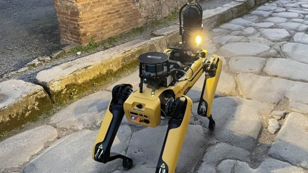 Robotic Dogs being Introduced to the Public