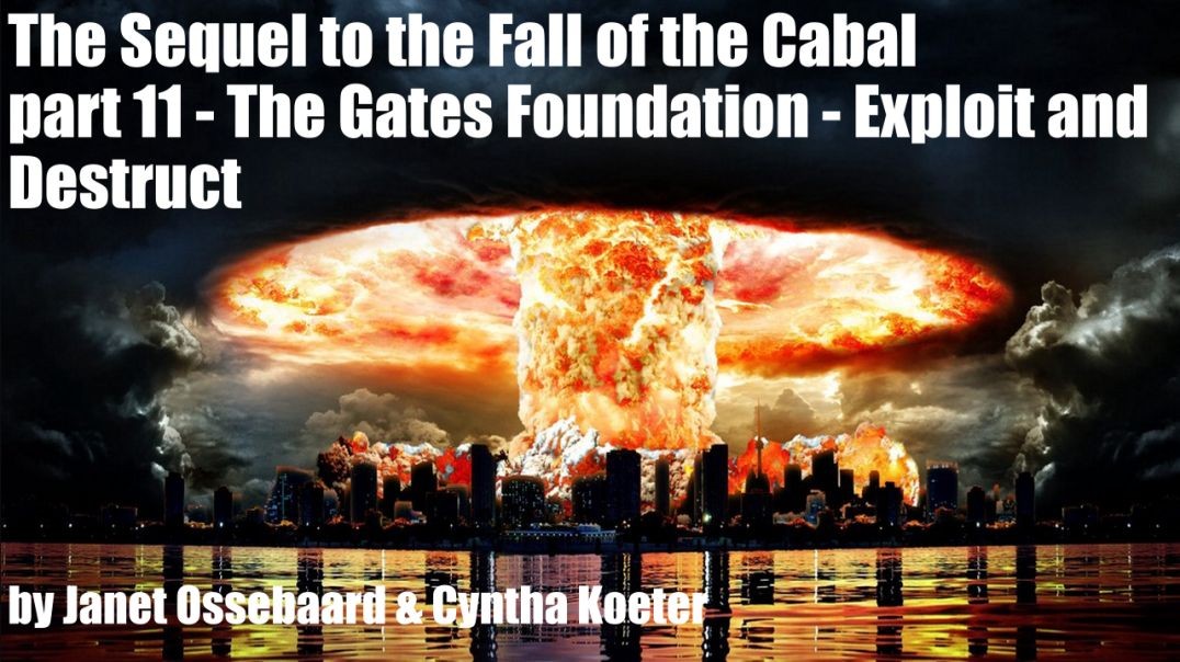 ⁣The Sequel to the Fall of the Cabal - part 11 - The Gates Foundation - Exploit and Destruction by J