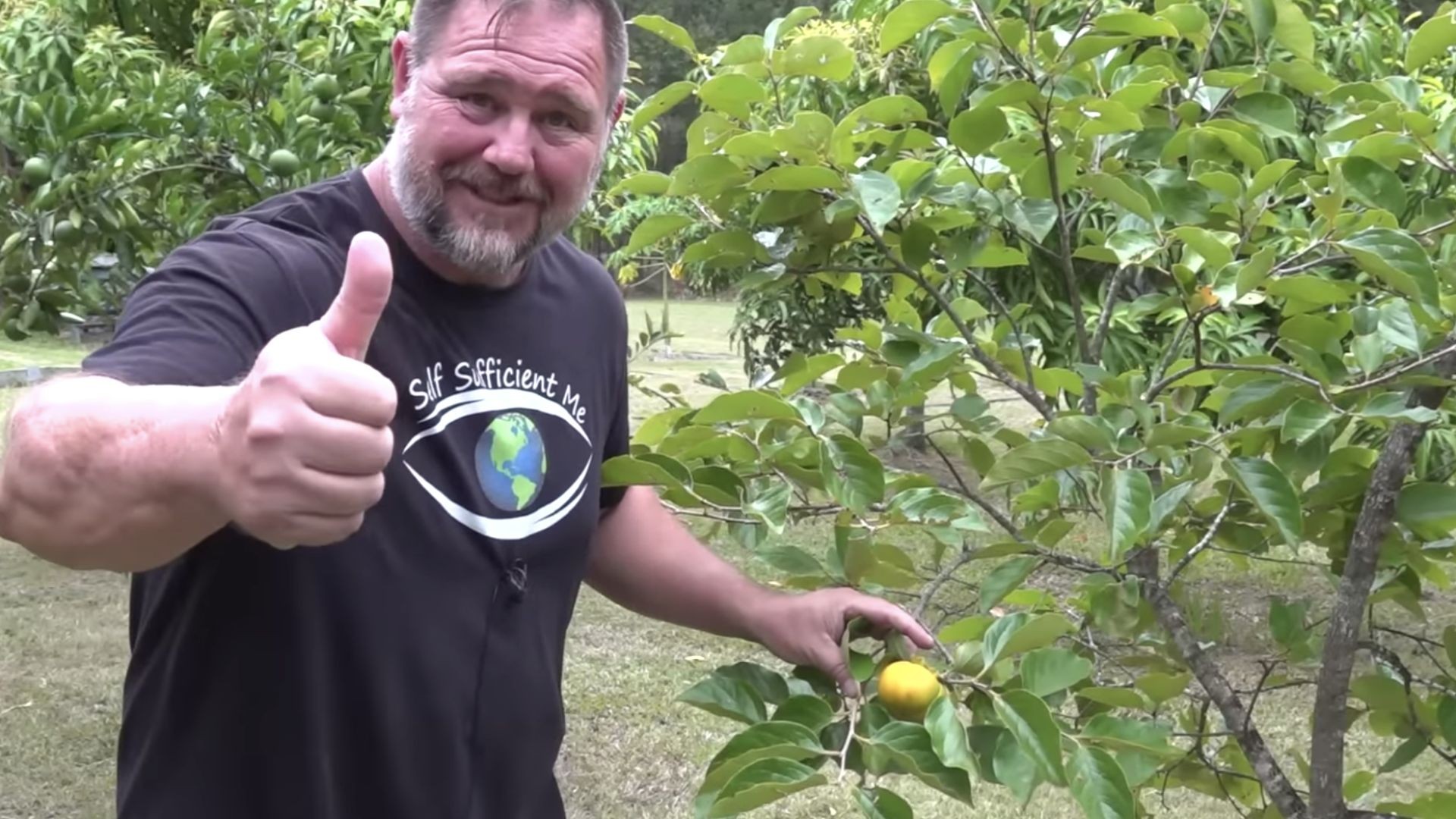 "10 Organic Ways to Control Pests in the Garden" (Mark's link below)