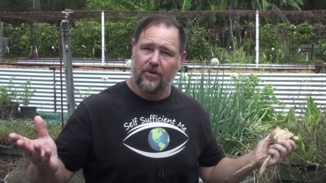 5 Tips How to Grow a Ton of Onions In One Container or Garden Bed  (link below)