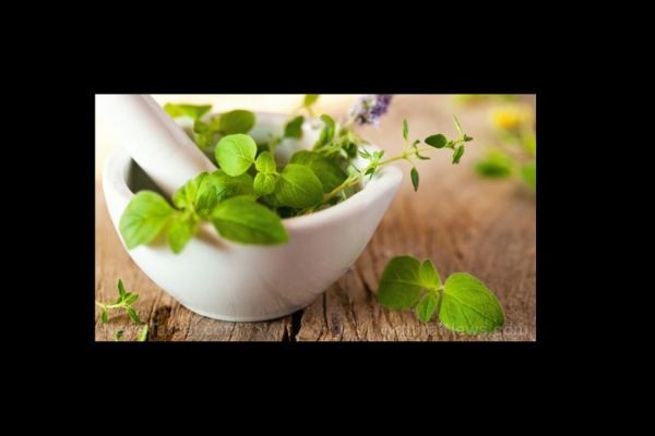 Herbal medicine cabinet: 9 Herbs for wound care