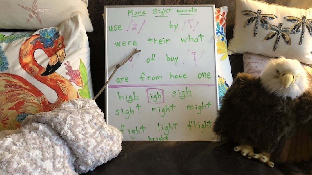 Adventures in Reading & Fun with Phonics #26  More 'sight' words and igh.