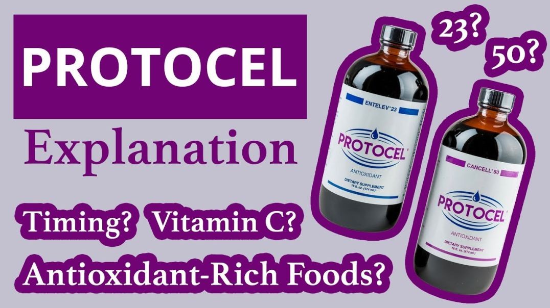 Protocel Explanation - Timing Protocol, Vitamin C, & Antioxidant-Rich Foods | Conners Clinic Can