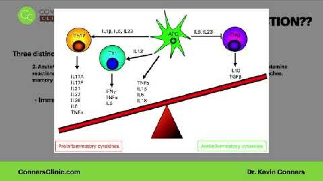 Understanding the Bundles | Conners Clinic