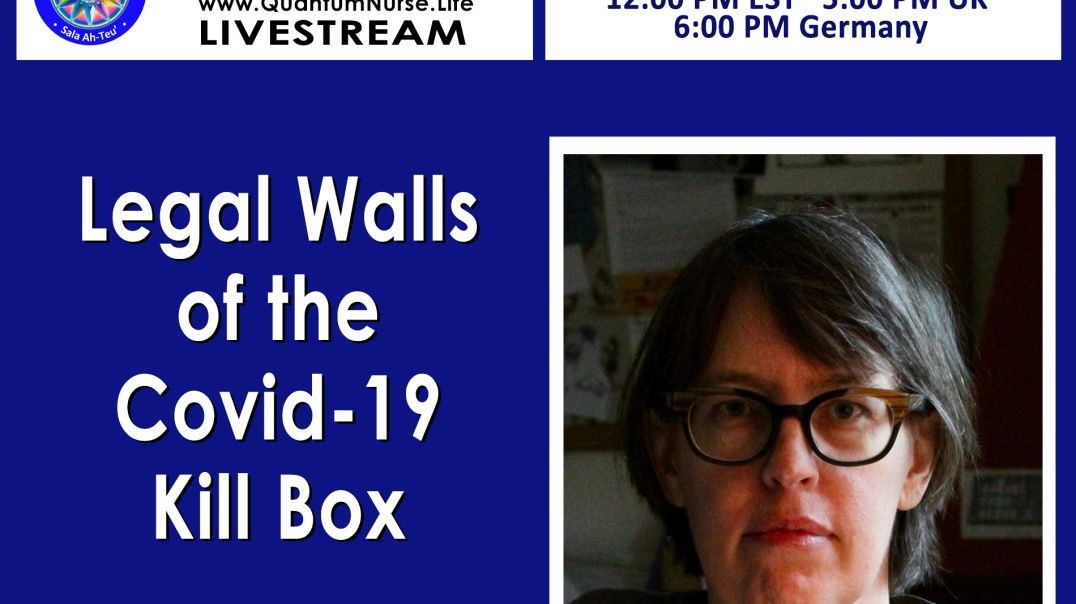 Katherine Watt - Legal Walls of the Covid-19 Kill Box.mp4