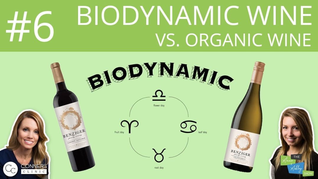#6: Biodynamic Wine vs. Organic Wine | The Anne & Ashley Show