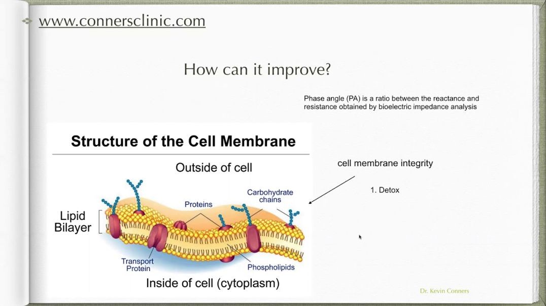 Dr. Kevin Conners | Conners Clinic - Cancer and your Phase Angle