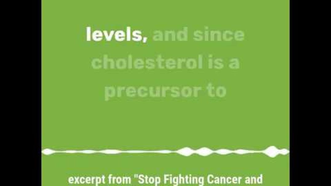 Cholesterol and Cancer | The Relationship of Vitamin D, Cholesterol, and Cancer!