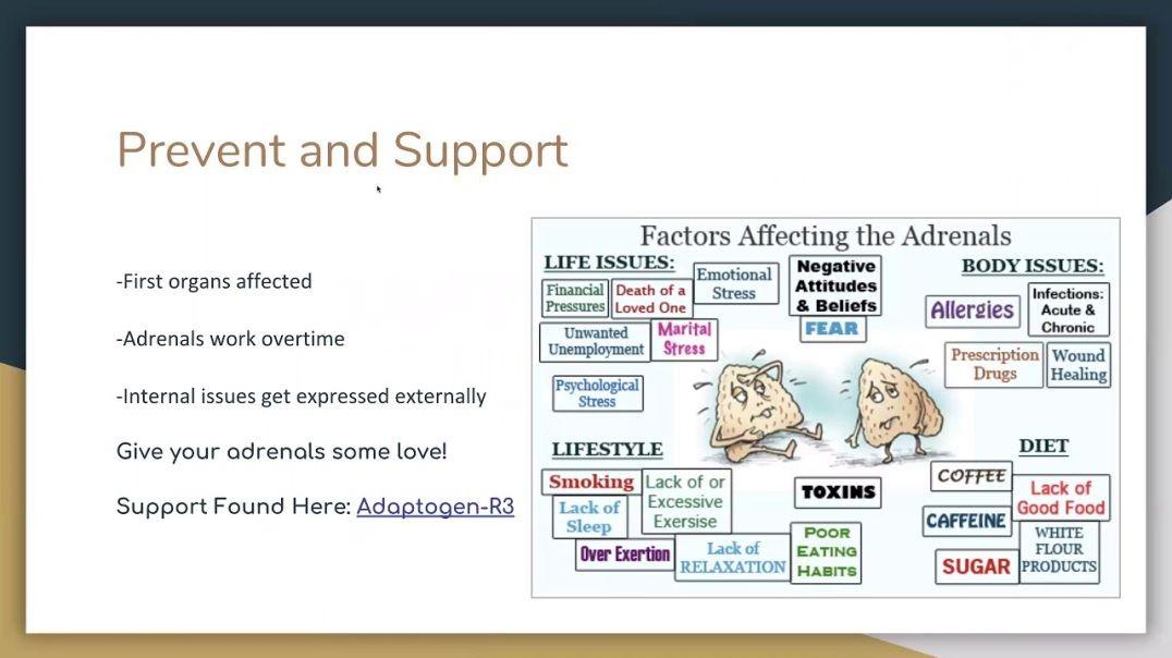 Dr. Kevin Conners: Adaptogen R3 -Ashley