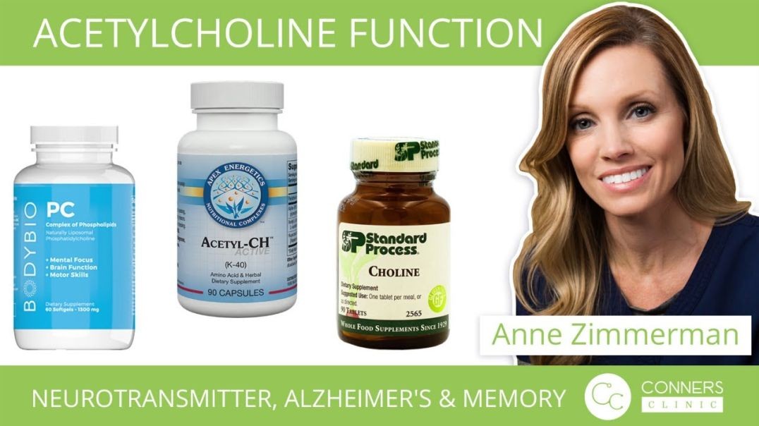 Acetylcholine Function, Neurotransmitter, Alzheimer's & Memory - Conners Clinic Supplements