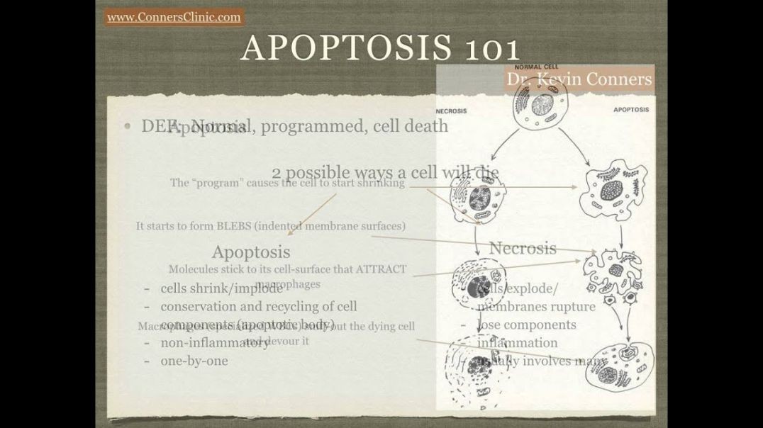 Apoptosis 101 for Cancer Patients