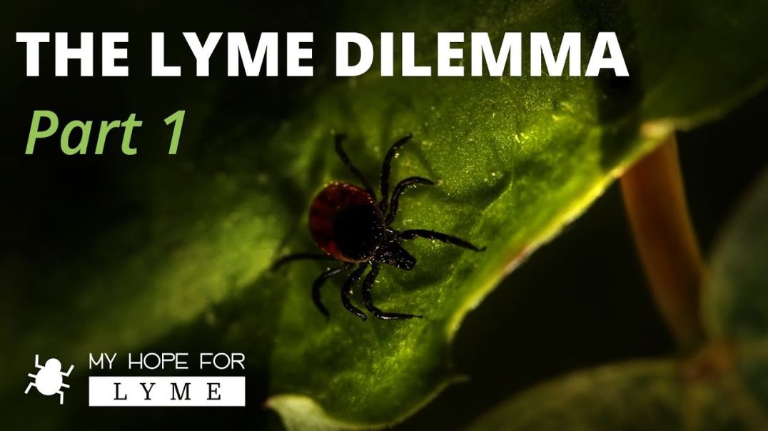 The Lyme Dilemma - Part 1 - Dr. Kevin Conners | Conners Clinic