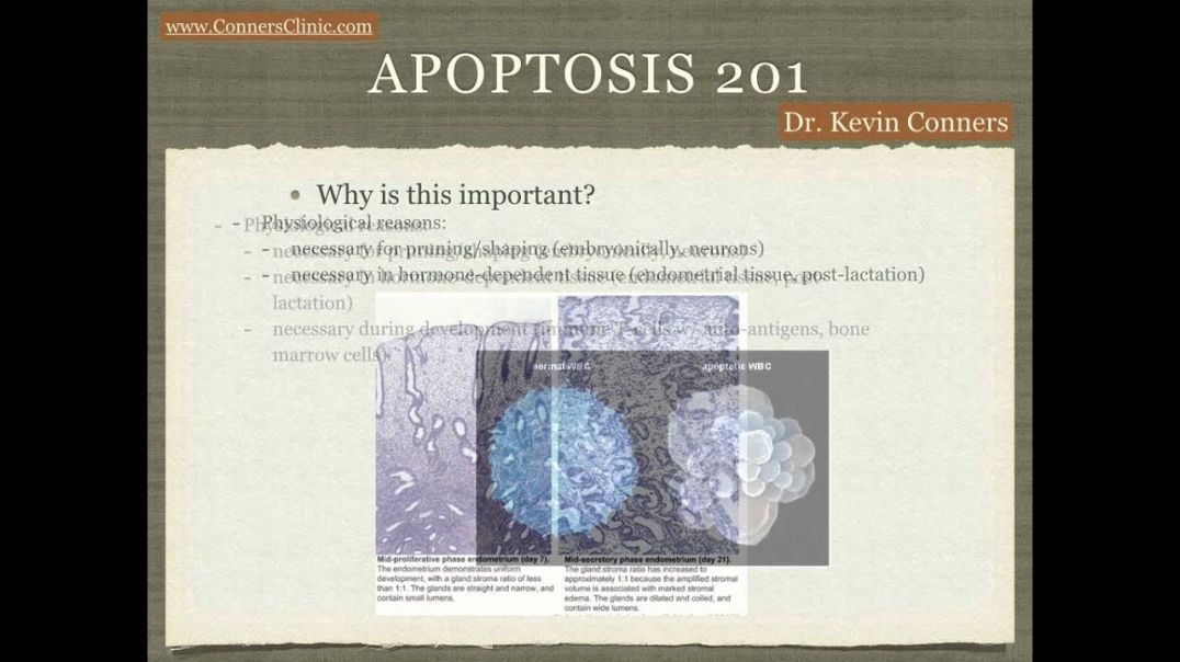 Apoptosis 201