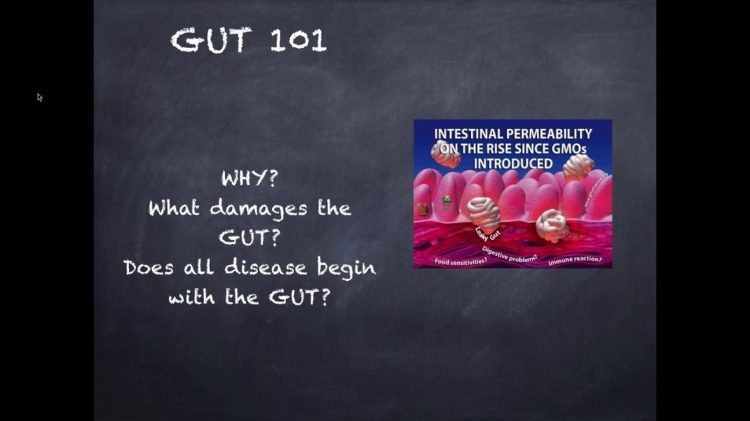 Gut Talk 101 w/ Jason Rozin - Dr. Kevin Conners