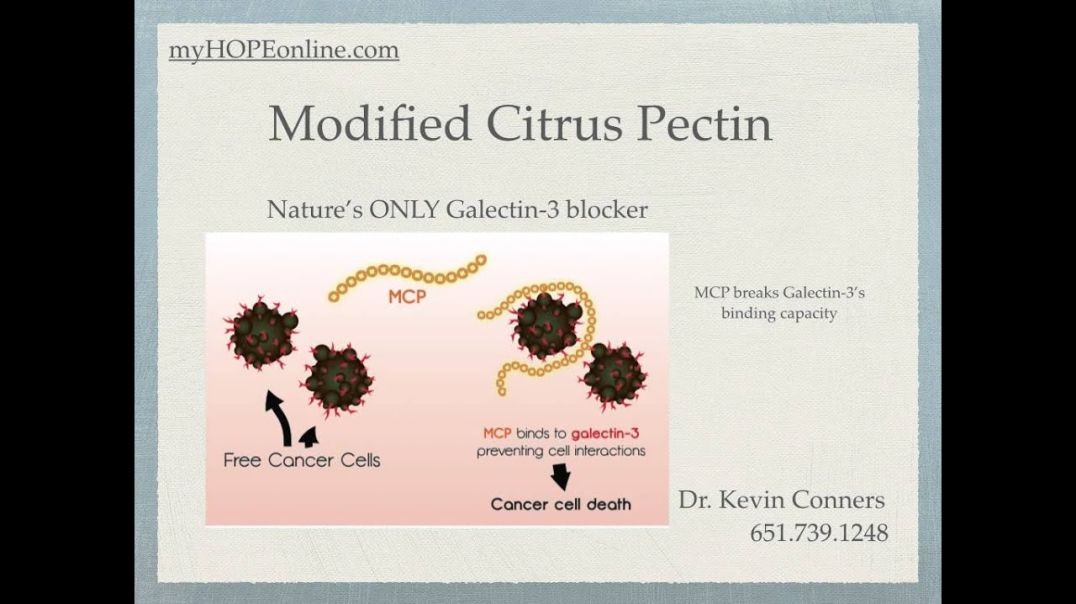 Modified Citrus Pectin - "Nature's Chelator"