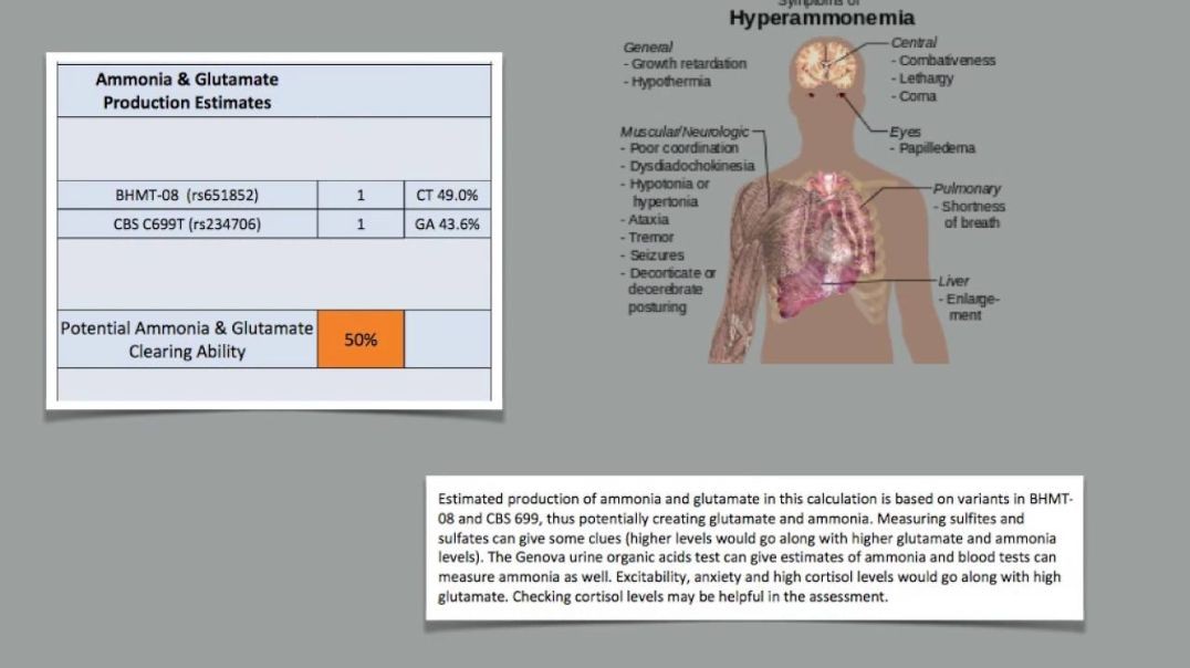 Genetics - Transsulfuration