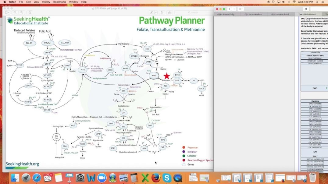 Genetic Detox - SOD/Catalase - Dr. Kevin Conners