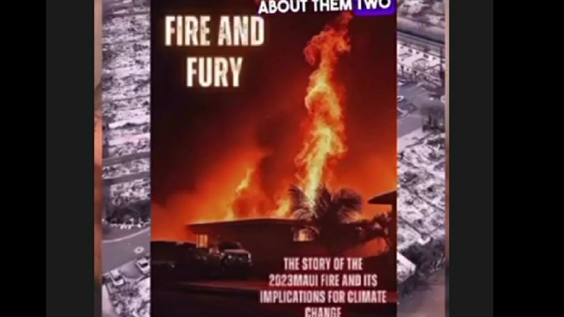 The Book  "Fire and Fury"