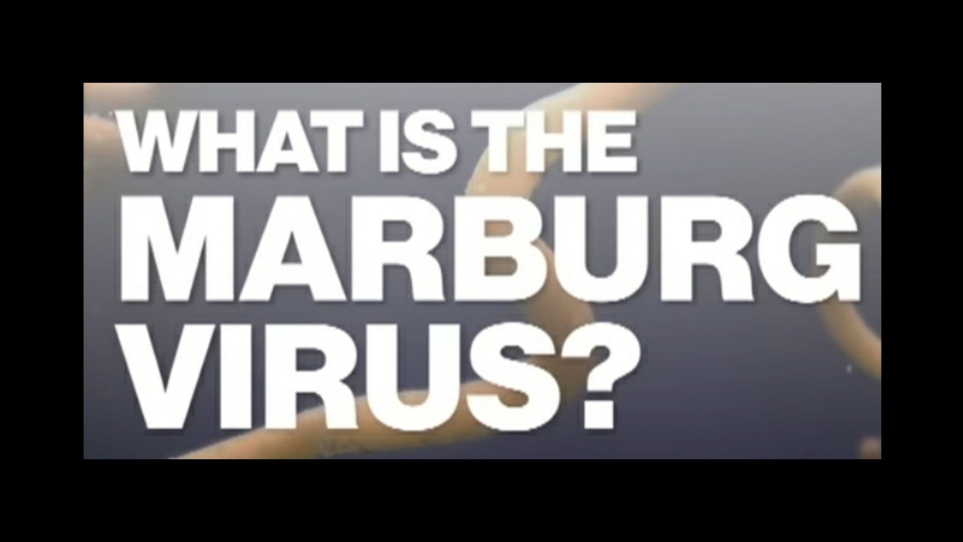What is the Malburg Virus?