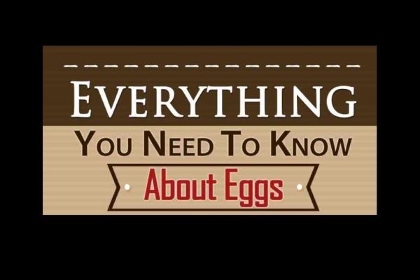 Choline in Eggs Reduces Inflammation