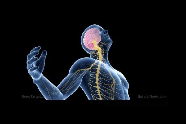 Vagus Nerve Stimulation Shows Promise for Several Ailments