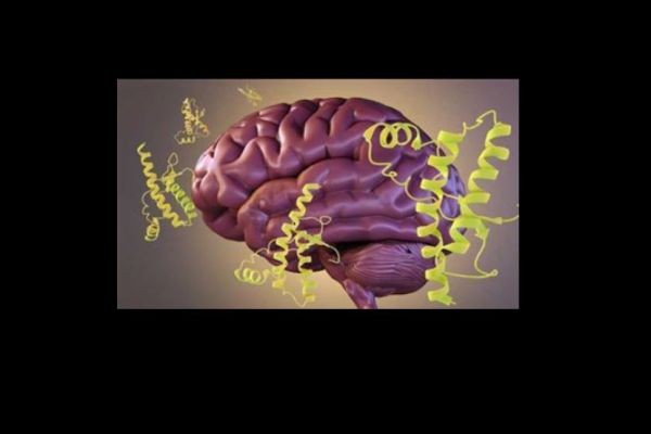 Doctors Predict Epidemic of Prion Brain Diseases