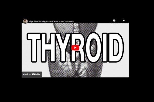 Your Thyroid Is the Regulator of Your Entire Existence
