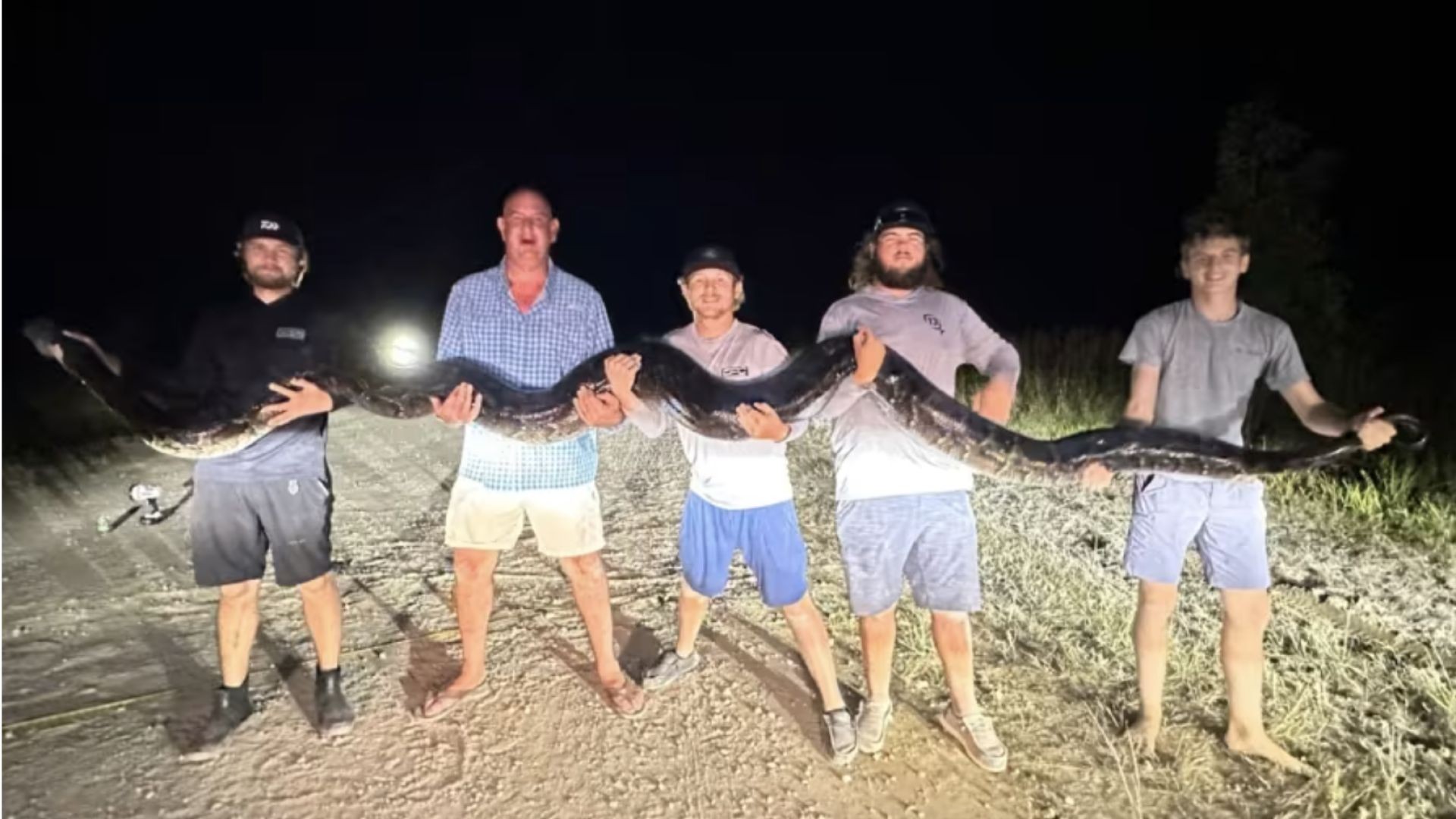 College students capture 17-foot-long python in Collier County