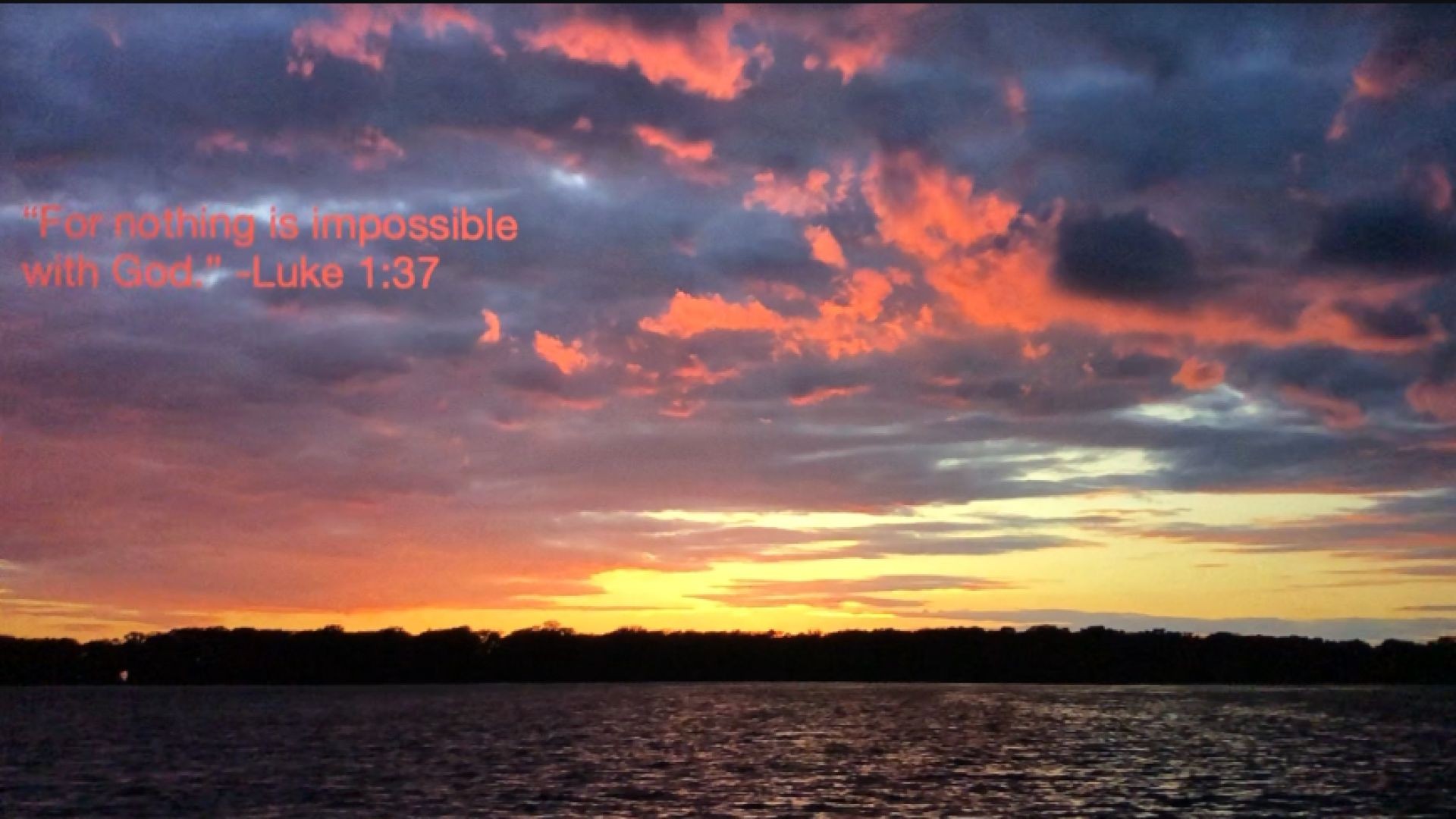 Bible Quote of the Day