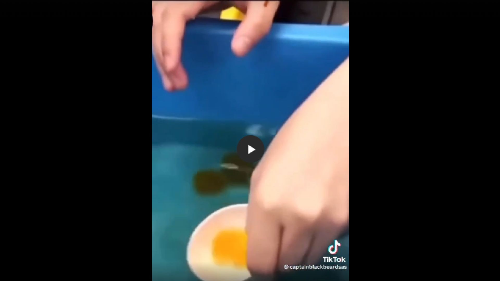 How can this be Possible? Fake Eggs