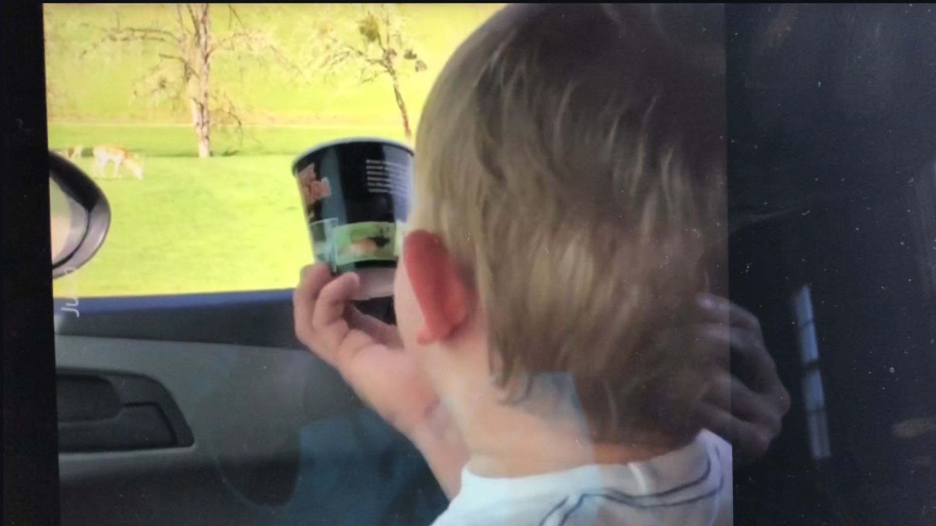 Child Has No Fear;  Loving Life