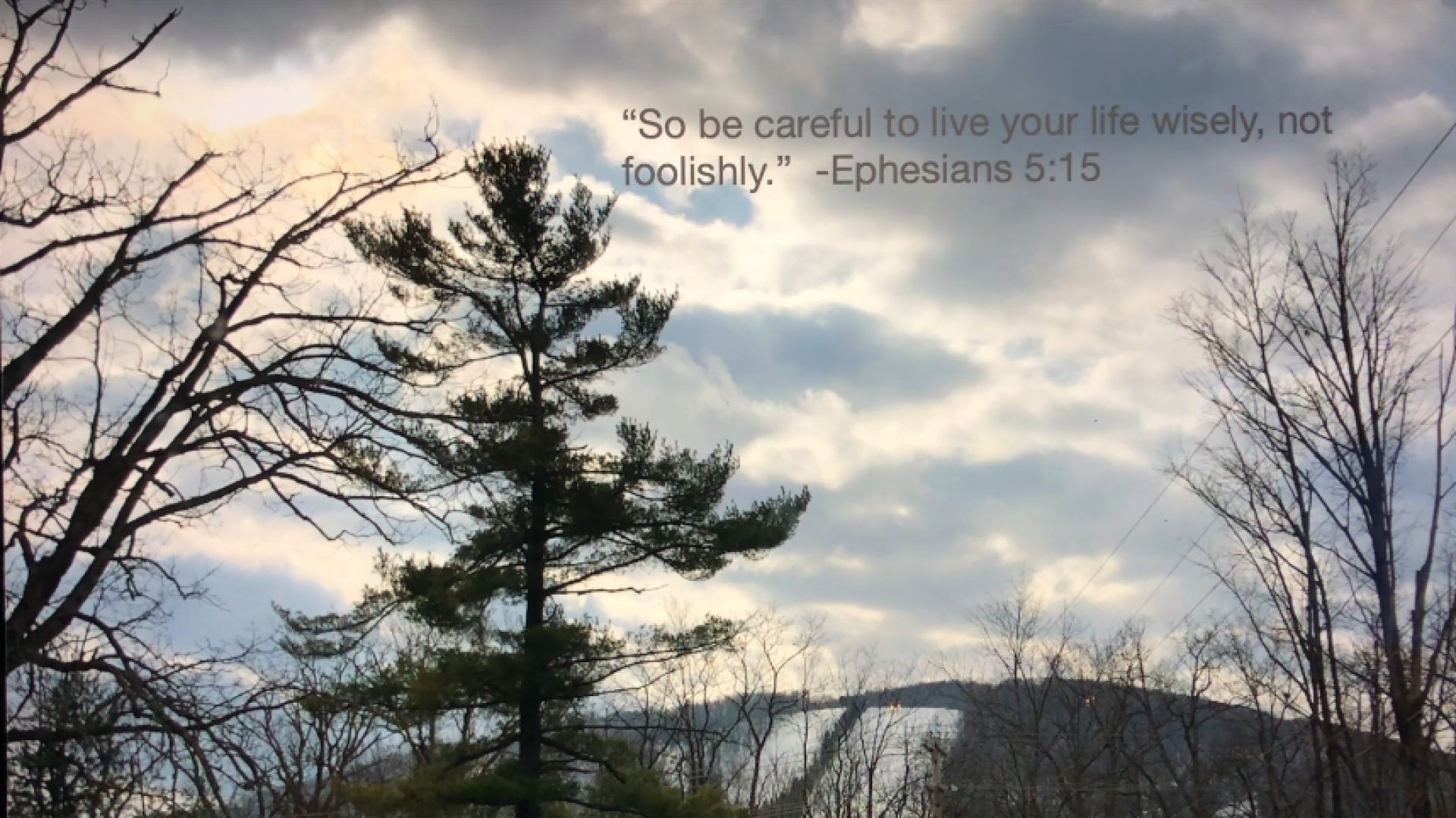 Bible Quote of the Day 11-2-23