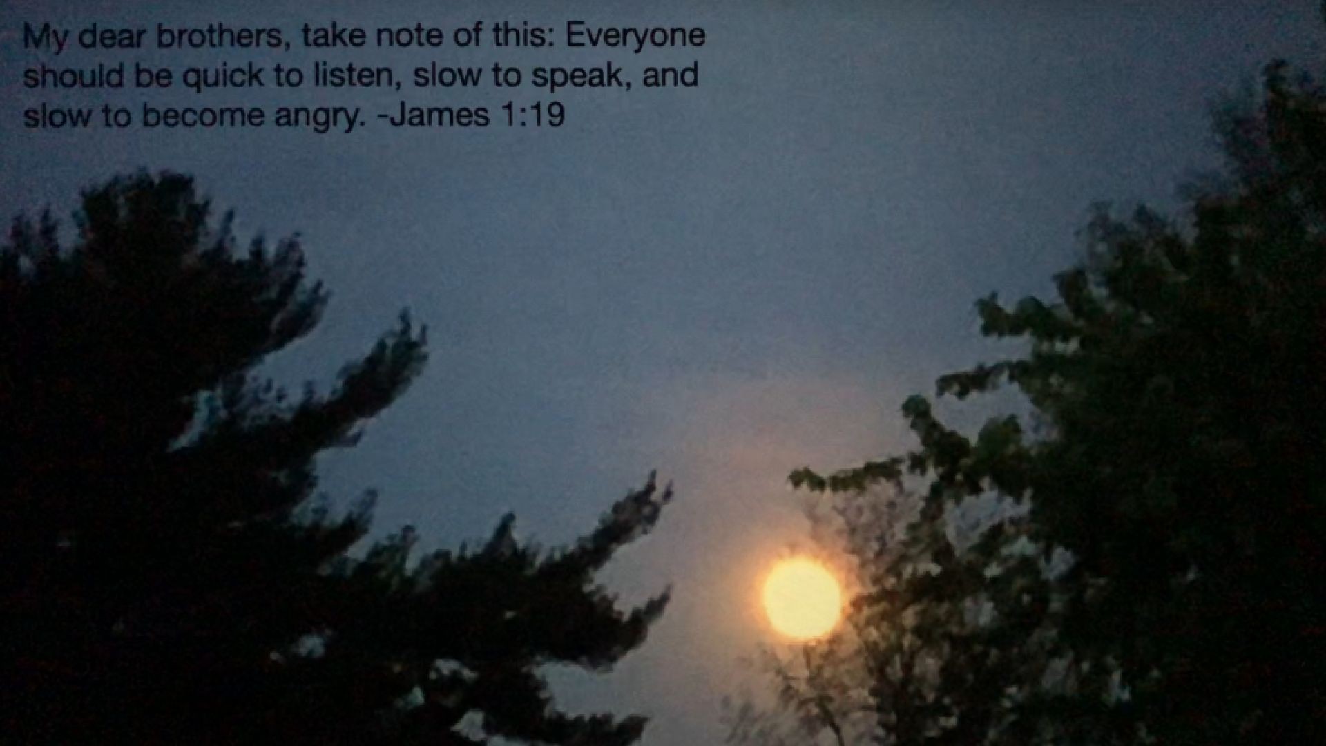 Bible Quote of the Day  9-23-23